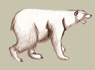 File:Grizzly bear.jpg