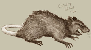 File:Fanged rodent.jpg