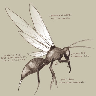 File:Cinder wasp.jpg
