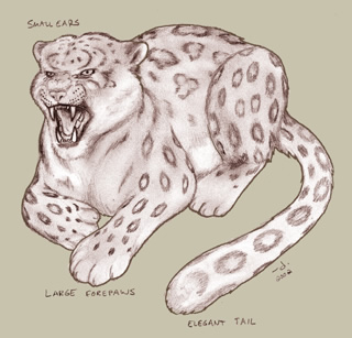 File:Snow leopard.jpg
