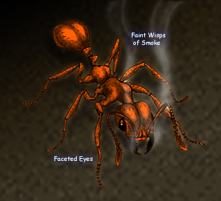 File:Fire Ant Colored.jpg