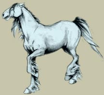 File:Horse.jpg