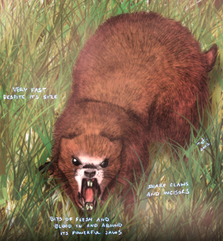 File:Giant Marmot Colored.jpg