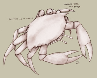 File:Pale crab.jpg