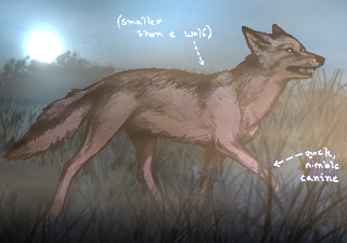 File:Coyote Colored.jpg