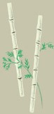 File:Bamboo.jpg