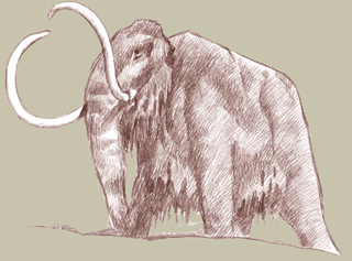 File:Wooly mammoth.jpg