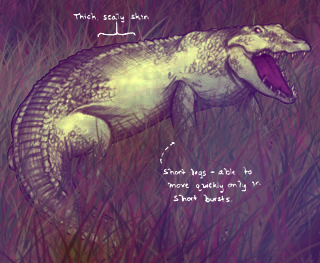 File:Crocodile Colored.jpg