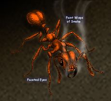 Fire Ant Colored.jpg