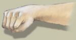 Closed fist.jpg