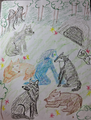 Thumbnail for version as of 11:12, 12 October 2026