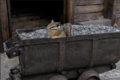Thumbnail for version as of 14:43, 7 June 2026