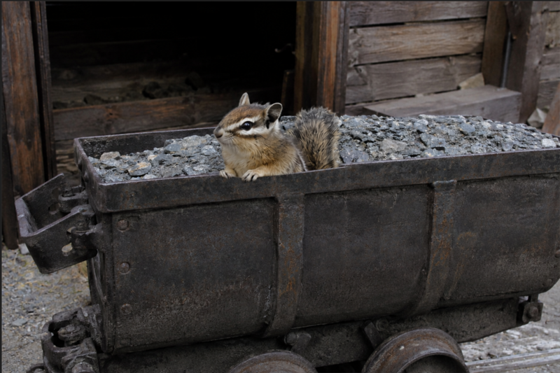 File:Rashwe in mining cart.png