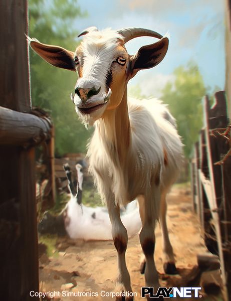 File:Paeladri Goat.jpeg