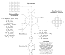 Representational map of the in-game rooms comprising Nyessem and the Inquisitor event grounds.
